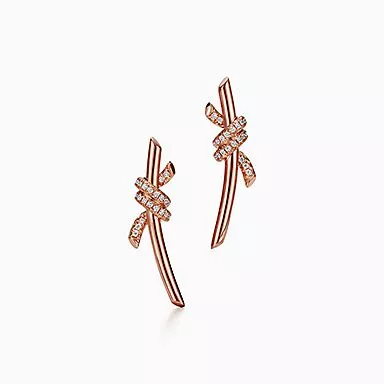 宝诗龙